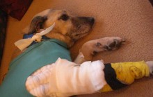 Elfie ist operiert und bekommt bald Chemotherapie - und braucht Ihre Unterstützung!